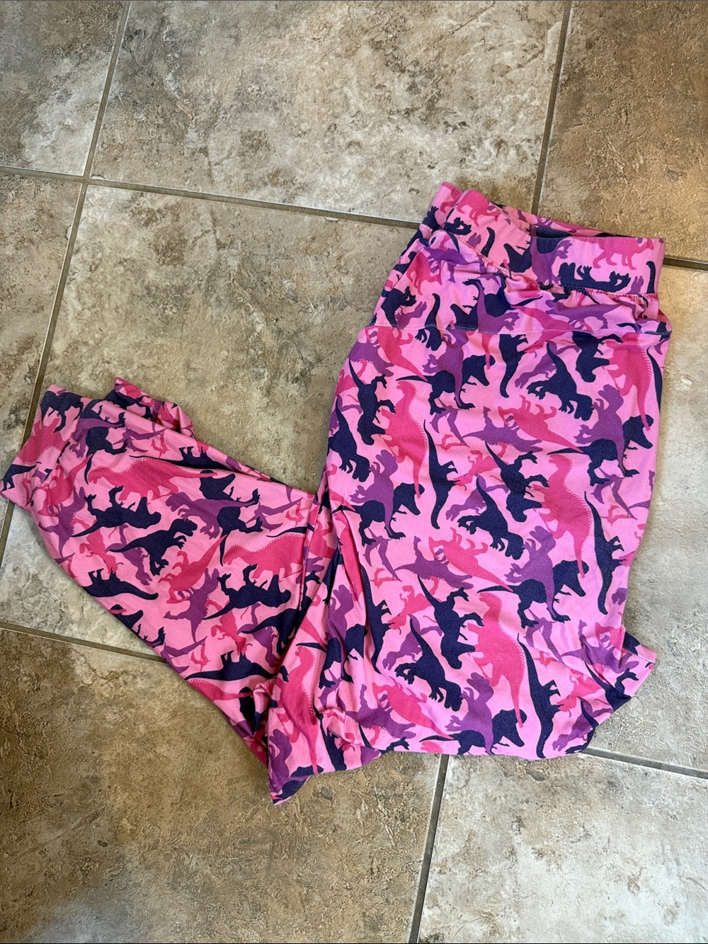PopFit & CheekBoss Collab Pink & Purple Dinosaur Print Loungers